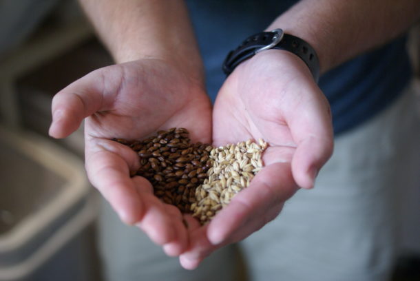 Two types of grains that can be purchased from Upstate Craft Beer Co. for home brewers. 