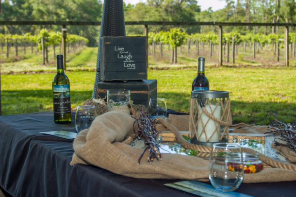It's so beautiful at the vinyard! Photo: Dinwiddie Photography
